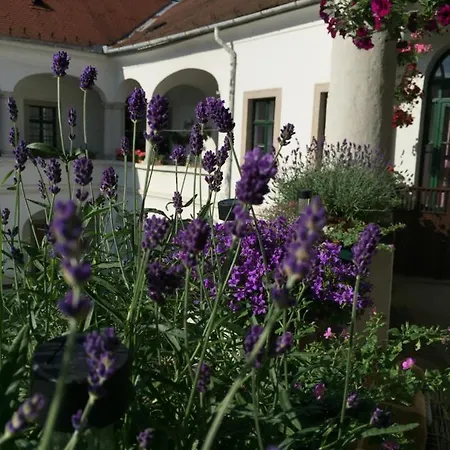 Forst-haz Eğri