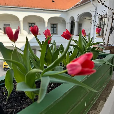 Forst-haz Apartment *