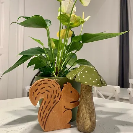 Forst-haz Daire Eğri