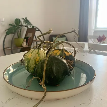 Forst-haz Daire Eğri