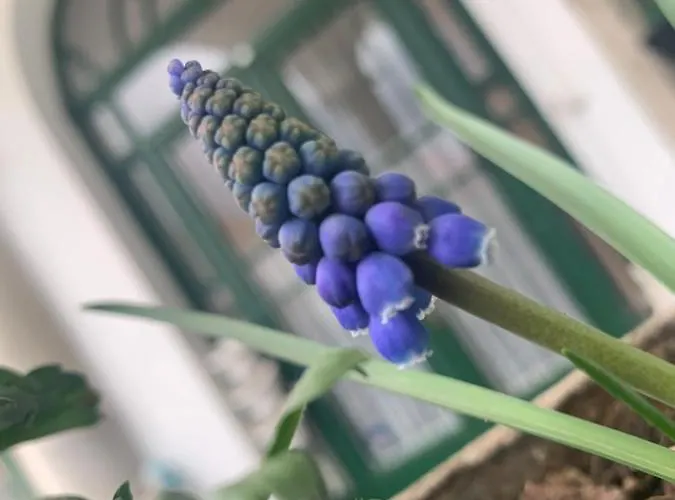 Apartment Forst-haz Erlau