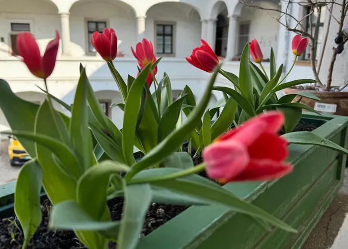 Forst-haz Apartment *